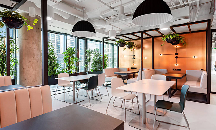 上海辦公室裝修綠植陳設 上海辦公室裝修綠植陳設