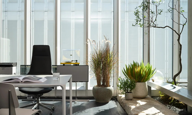 茶文化辦公室設(shè)計效果