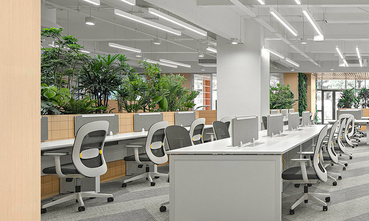 辦公室綠化景觀裝修設計的效果和好處