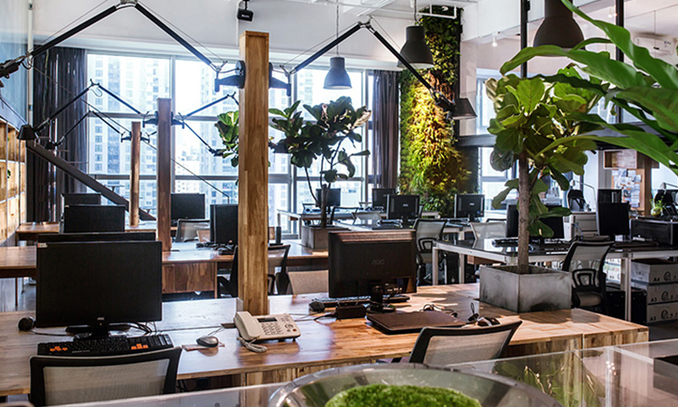 原木風辦公室裝修效果 原木風辦公室裝修效果