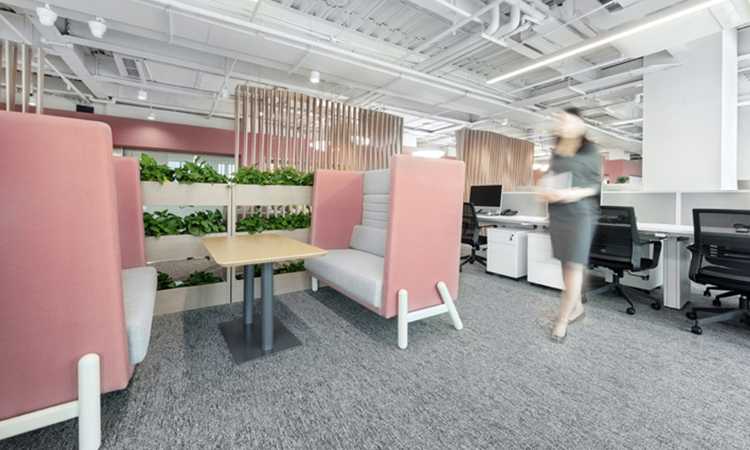 設計師辦公區 設計師辦公區